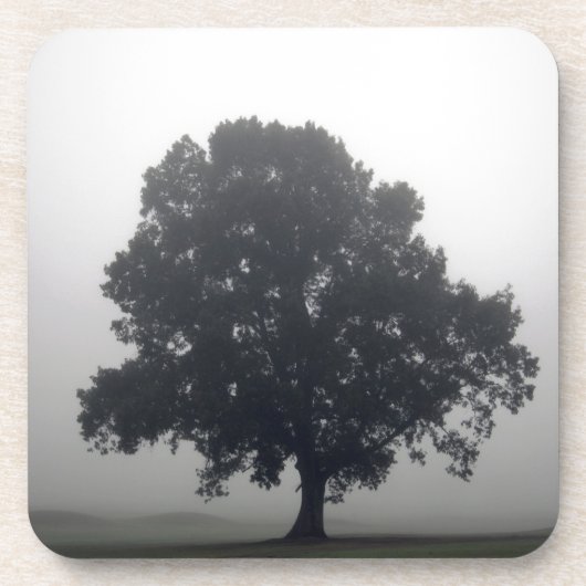 Dessous-de-verre Foggy Tree (Devant)