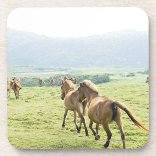 Dessous-de-verre Fonctionnement de chevaux