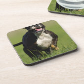 Dessous-de-verre Fonctionnement de chien (Côté gauche)