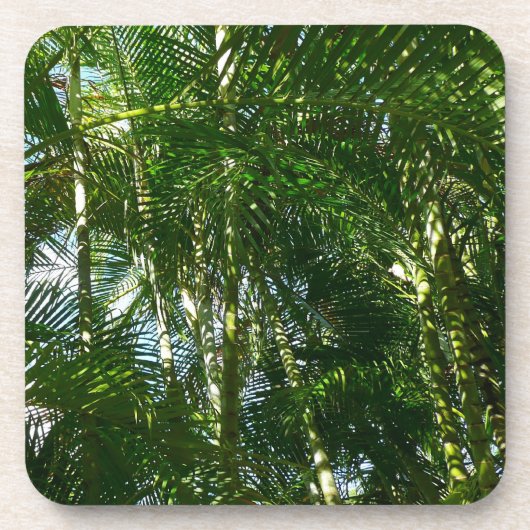 Dessous-de-verre Forest of Palm Trees Tropical Nature (Devant)