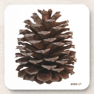 Dessous de verre forestiers