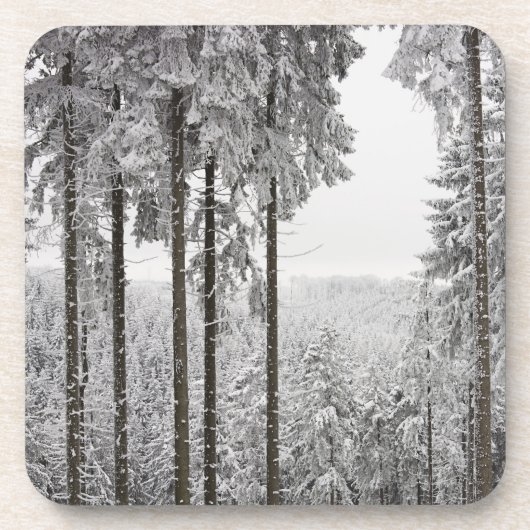 Dessous-de-verre Forêt à feuillage persistant en hiver (Devant)