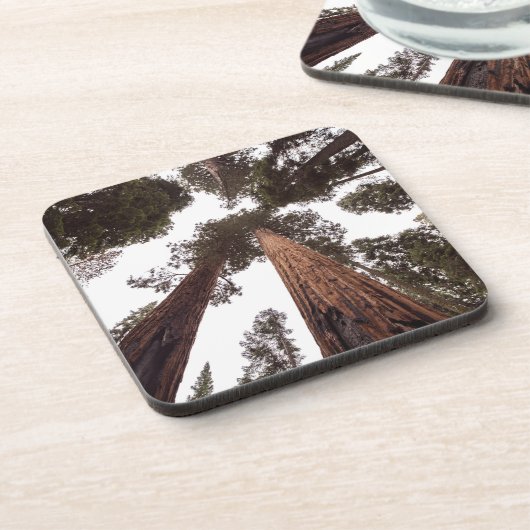 Dessous-de-verre forêt, arbre (Côté gauche)