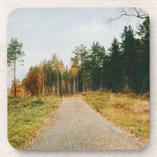 Dessous-de-verre Forêt automnale suédoise (Devant)