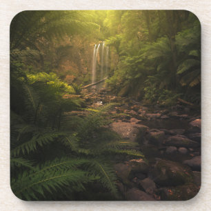 Dessous-de-verre Forêt Cascade Sunlight Highlights