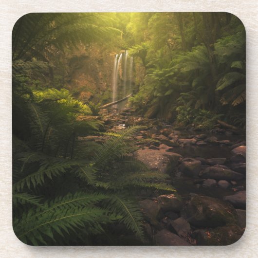 Dessous-de-verre Forêt | Cascade Sunlight Highlights (Devant)