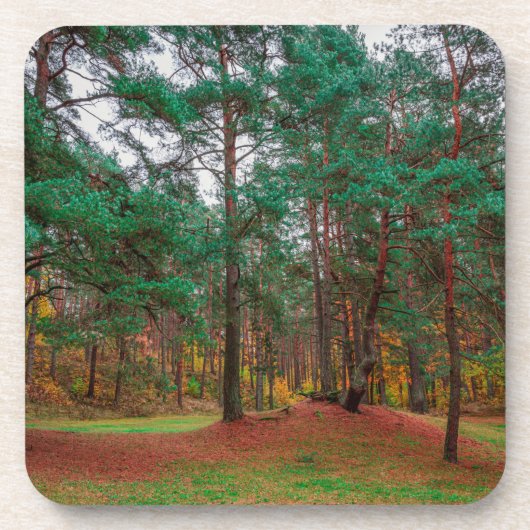 Dessous-de-verre Forêt d'automne (Devant)