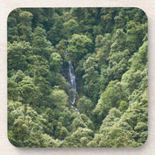 Dessous-de-verre Forêt de l'Himalaya dans la vallée de Mangdue, Bho