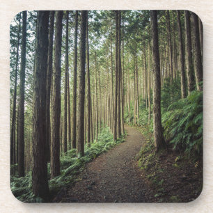 Dessous-de-verre Forêt Montagnes de Wakayama Japon