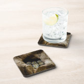 Dessous-de-verre Forêt | Trois Chouettes (Côté Droit)