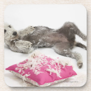 Dessous-de-verre Formation de comportement de chien