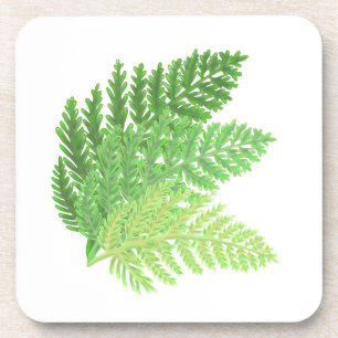 Dessous-de-verre Fougères élégantes de couleur verte aquarelle feui