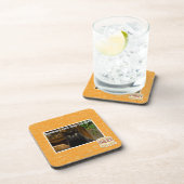 Dessous-de-verre Fourrure de Hoomans Taek là ? (Côté Droit)