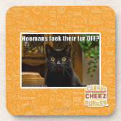 Dessous-de-verre Fourrure de Hoomans Taek là ? (Devant)