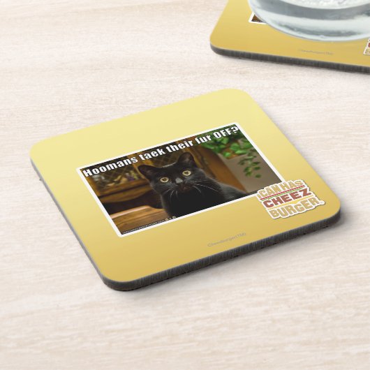 Dessous-de-verre Fourrure de Hoomans Taek là ? (Côté gauche)