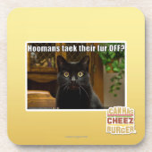 Dessous-de-verre Fourrure de Hoomans Taek là ? (Devant)