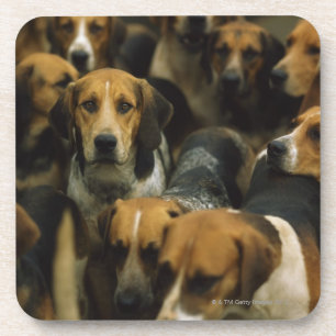 Dessous-de-verre Fox-hounds de chasse, blazers de Galway, Irlande