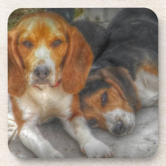 Dessous-de-verre Frère Beagle (Devant)