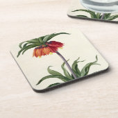 Dessous-de-verre Fritillaria Imperialis de, "Les Lilacees", 1802- (Côté gauche)