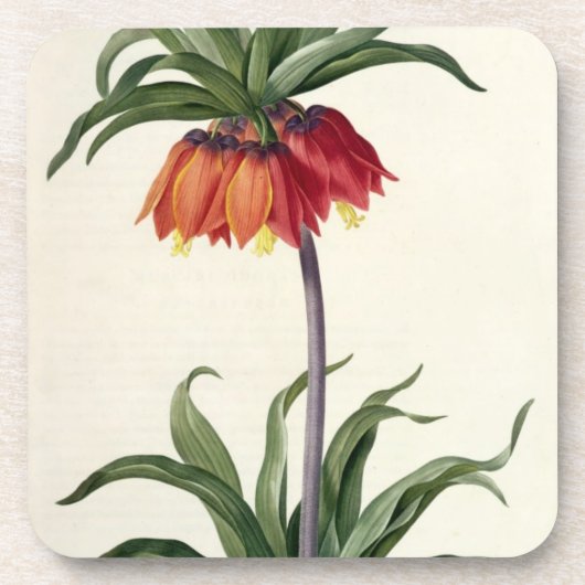 Dessous-de-verre Fritillaria Imperialis de, "Les Lilacees", 1802- (Devant)