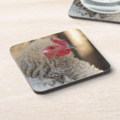 Dessous-de-verre Frizzle Rooster (Côté gauche)