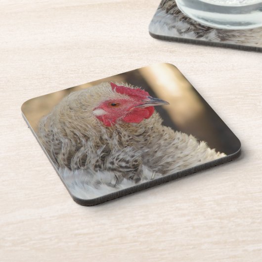 Dessous-de-verre Frizzle Rooster (Côté gauche)