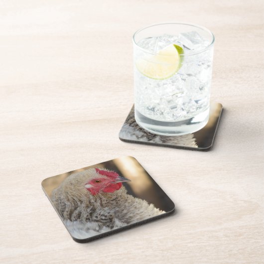 Dessous-de-verre Frizzle Rooster (Côté Droit)