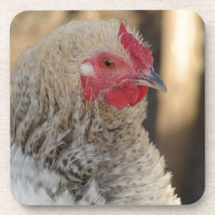 Dessous-de-verre Frizzle Rooster