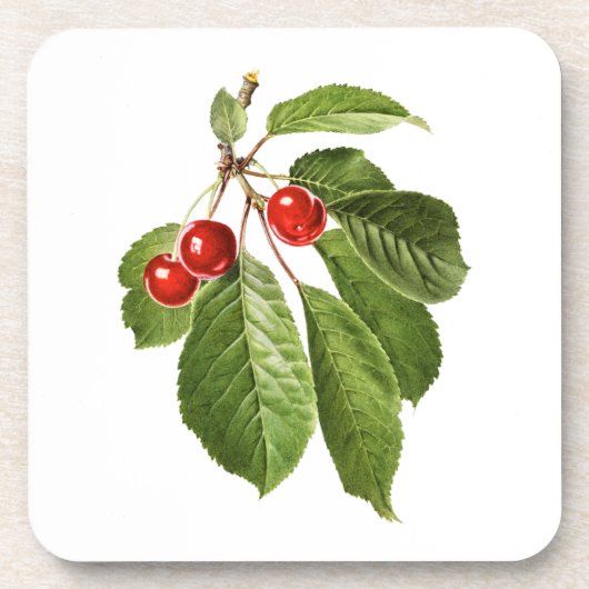 Dessous-de-verre Fruits : A015 Cerise - (Devant)