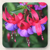 Dessous-de-verre Fuchsia violette avec sépales roses Floral (Devant)