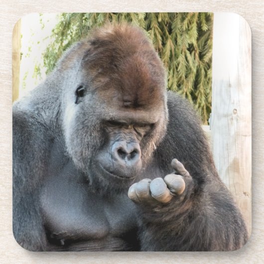 DESSOUS-DE-VERRE FUNNY GORILLA (Devant)