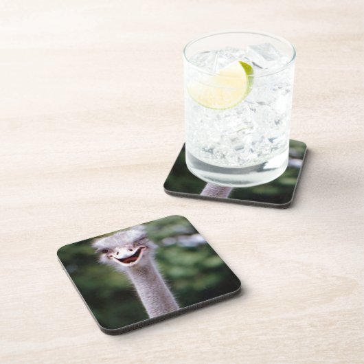 Dessous-de-verre Funny Ostrich (Côté Droit)