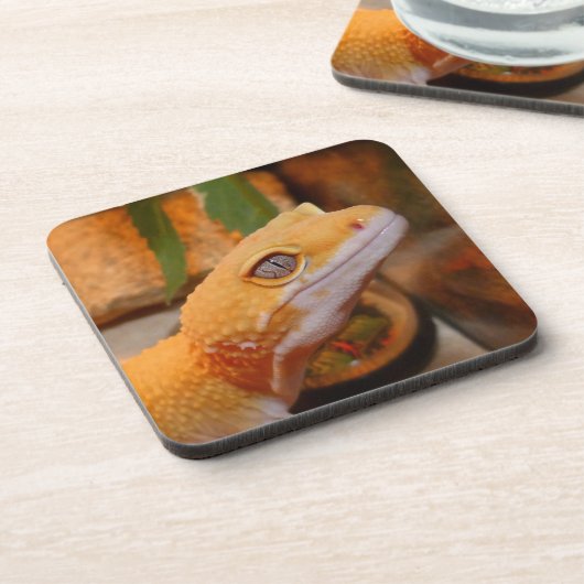 Dessous-de-verre Gecko jaune léopard (Côté gauche)