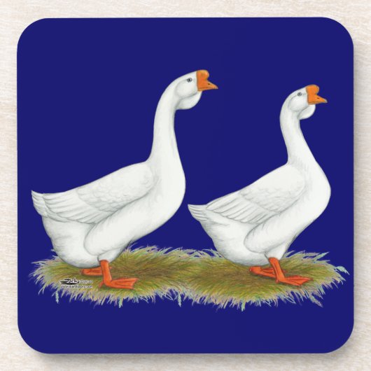 Dessous-de-verre Geese de l'Afrique blanche (Devant)