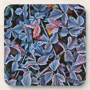 Dessous-de-verre Gel sur les feuilles d'automne, Oregon