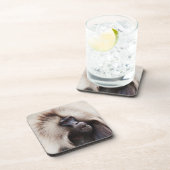Dessous-de-verre Gelada Baboon, Éthiopie (Côté Droit)