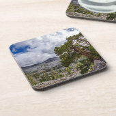 Dessous-de-verre Genévrier de la Sierra et arbres à feuilles persis (Côté gauche)