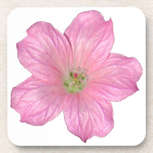 Dessous-de-verre Géranium rose (Devant)