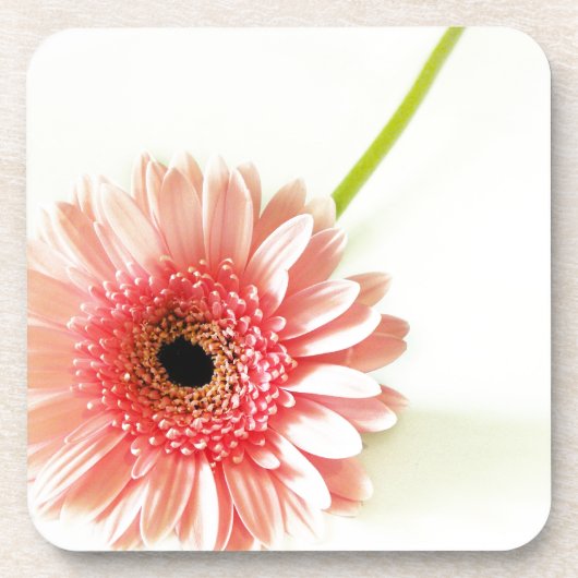 Dessous-de-verre Gerbera (Devant)