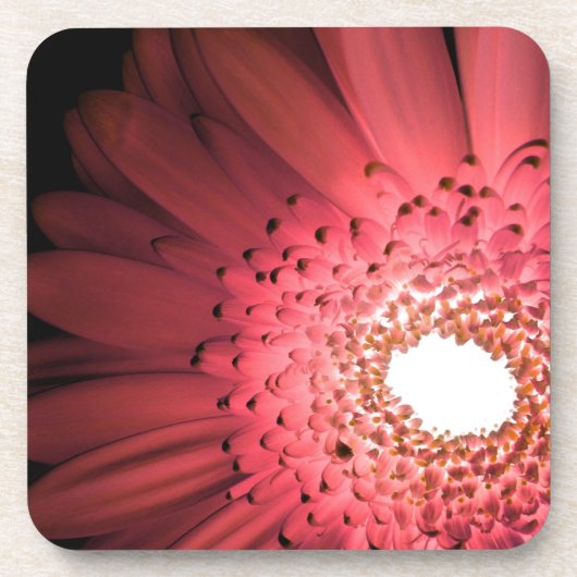 Dessous-de-verre Gerbera Daisy (Devant)