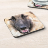DESSOUS-DE-VERRE GERMAN SHEPHERD DOG (Côté gauche)