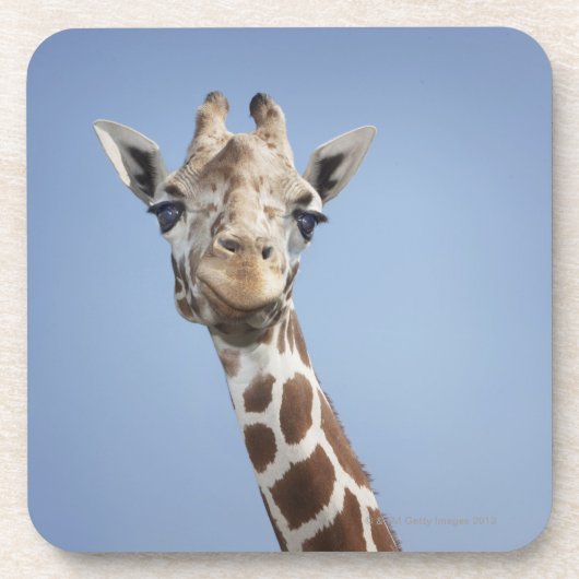 Dessous-de-verre Girafe 2 (Devant)