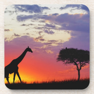 Dessous-de-verre Girafe en silhouette au lever du soleil, Giraffa