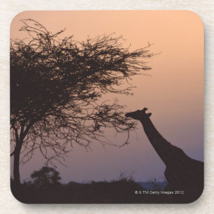 Dessous-de-verre Girafe réticulée