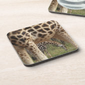 Dessous-de-verre Girafes 2 (Côté gauche)