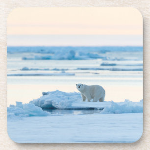 Dessous-de-verre Glace et neige Ours polaire Iceberg Norvège