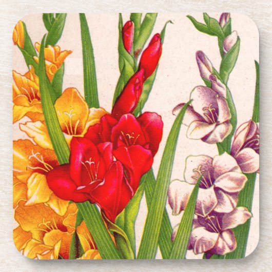 Dessous-de-verre gladiola fleurs gladioli (Devant)