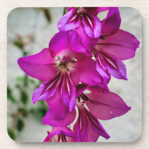 Dessous-de-verre Gladiolus byzantin