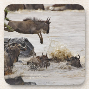 Dessous-de-verre Gnou sautant dans la rivière Mara