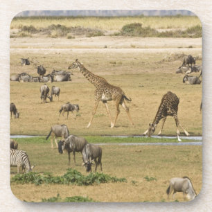 Dessous-de-verre Gnous, Zèbres et Girafes